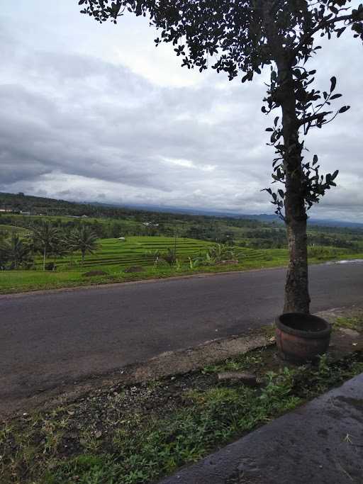 Warung Makan Manalagi 8