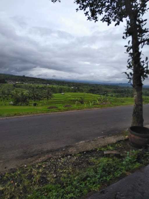 Warung Makan Manalagi 10