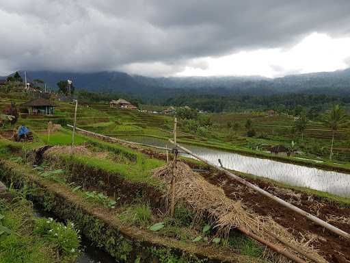 Warung Makan Manalagi 9