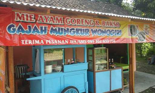 Mie Ayam Goreng & Bakso 10