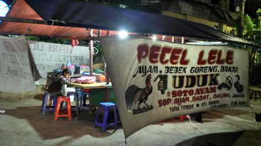 Pecel Lele Cak Robi Lamongan 10