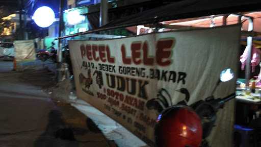 Pecel Lele Cak Robi Lamongan 7