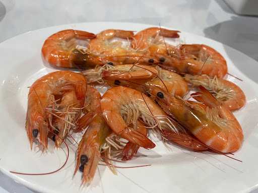 Seafood Segar 8 (Ss8) 3