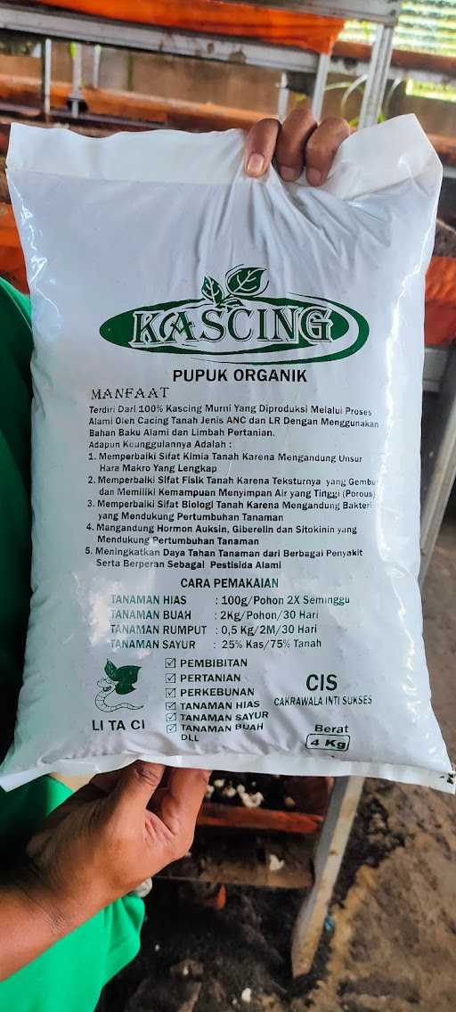 Kopi Cacing & Budidaya Cacing 4