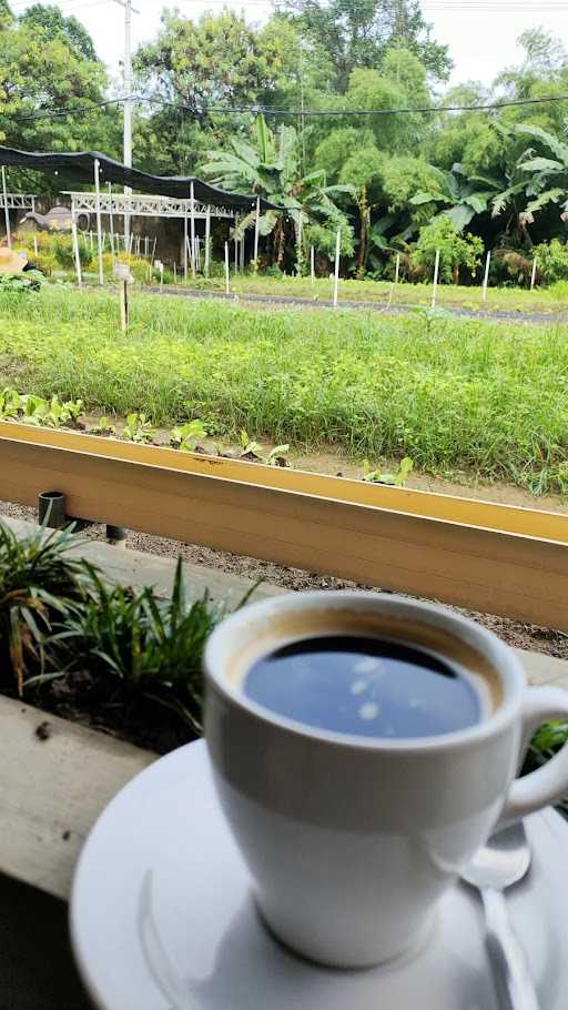 Kedai Kopi Kebun Cemara Asri 6