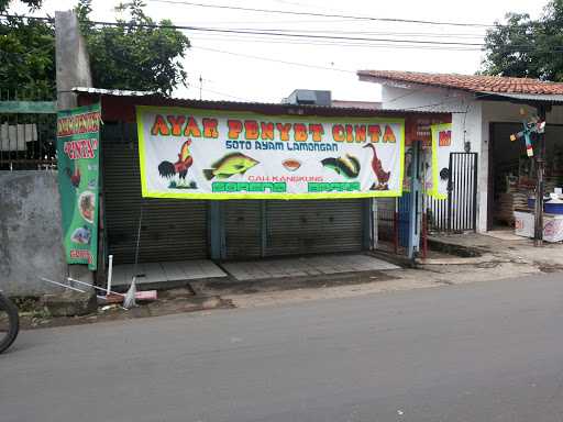 Ayam Penyet Cinta 8