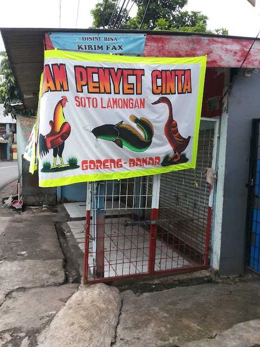 Ayam Penyet Cinta 7