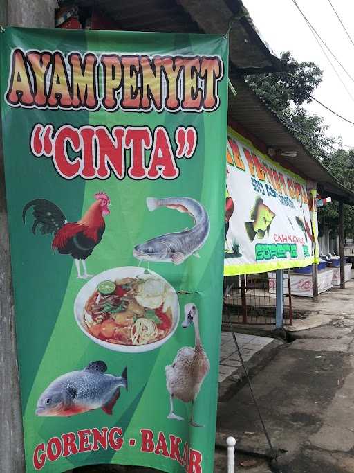 Ayam Penyet Cinta 5