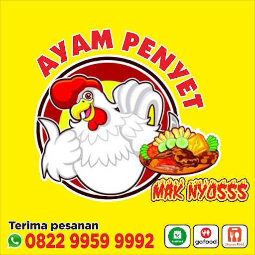 Ayam Penyet Mak Nyosss Petukangan 8