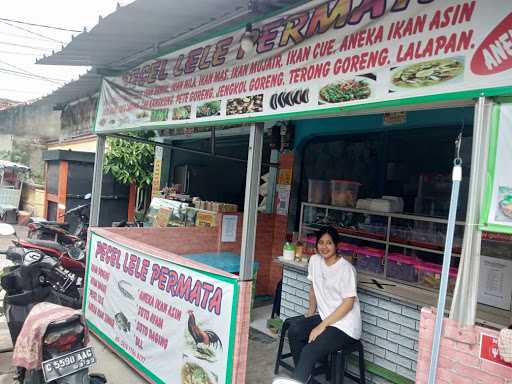 Pecel Lele Permata 9