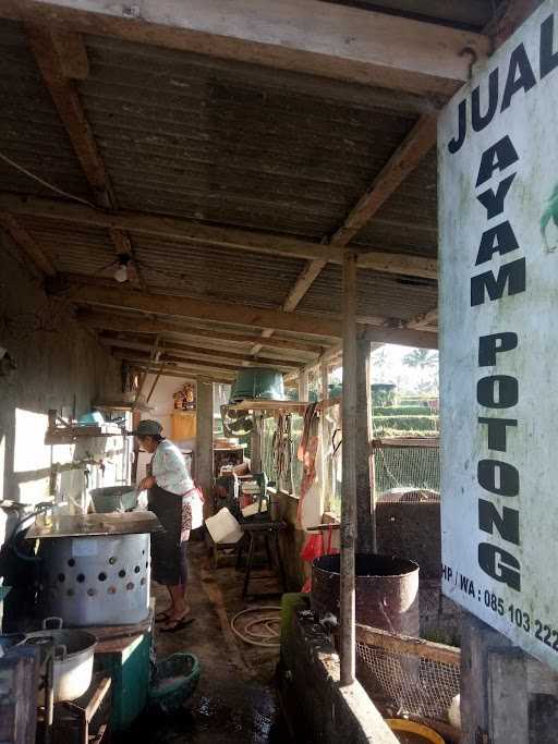 Bakso Ayam Ananda 5