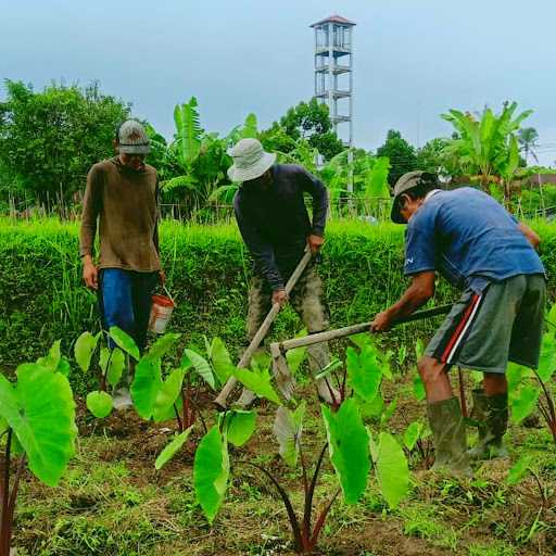 Sekarmukti Eco Agro 6