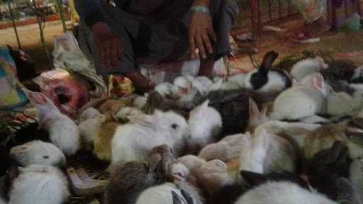 Bakso Goyang Lidah 2