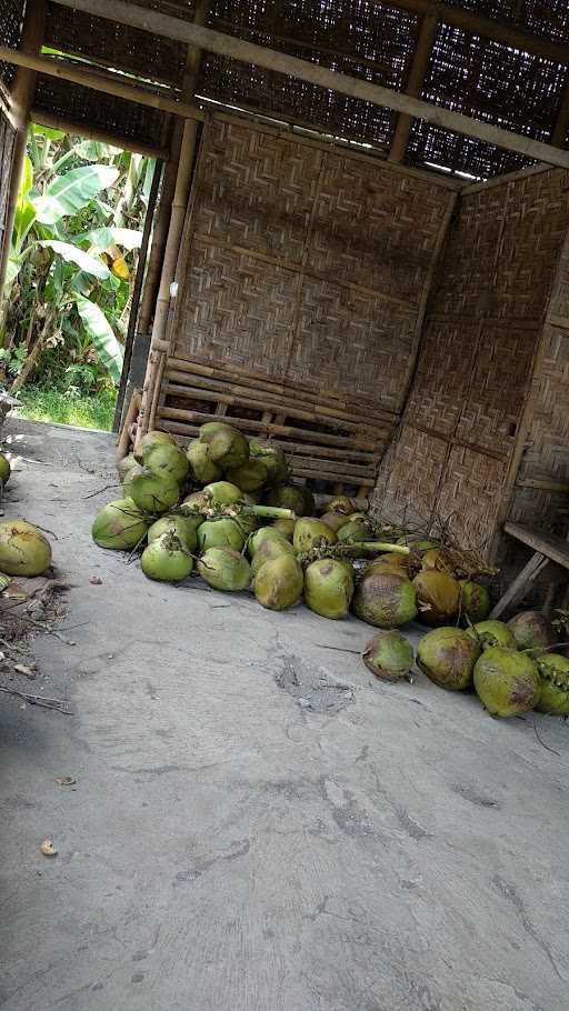 Bale Grosir Kelapa Muda 10