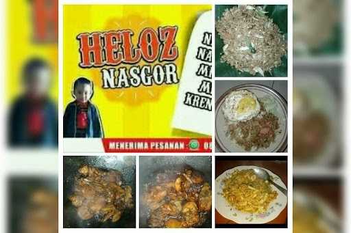 Heloz Nasgor 8