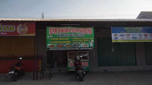 Ayam Bakar & Ayam Goreng Berkah Tiga Putra 2