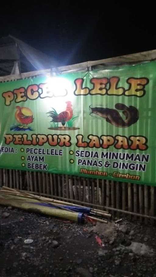 Pecel Lele Pelipur Lapar 7