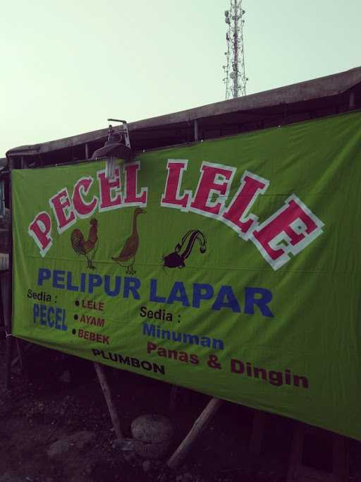 Pecel Lele Pelipur Lapar 8