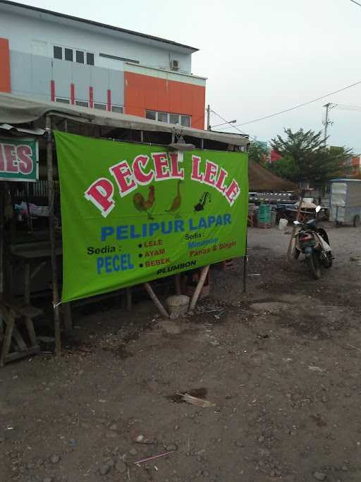 Pecel Lele Pelipur Lapar 9