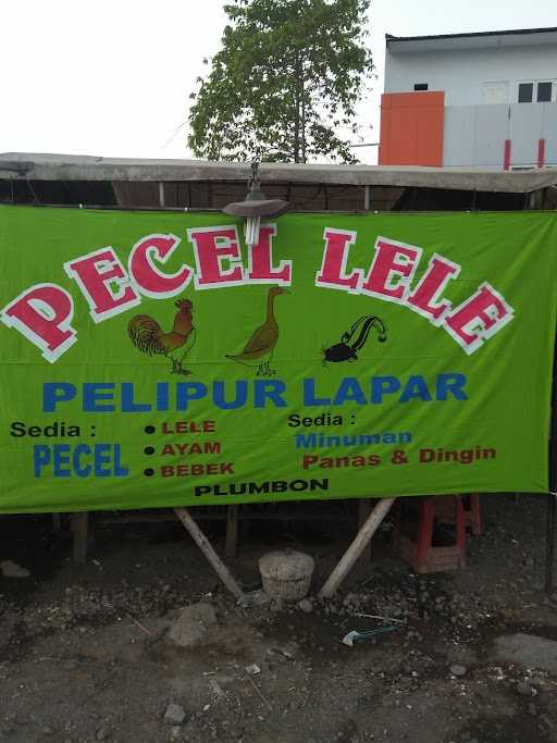 Pecel Lele Pelipur Lapar 10