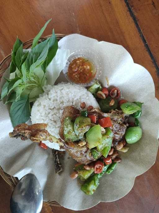 Ayam & Bebek Nyakmid 9