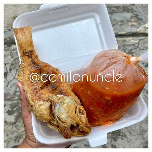 Ayam Penyet Uncle Bintaro 9