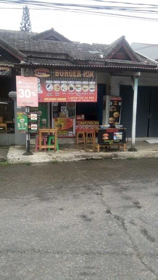 Burger Ion 10