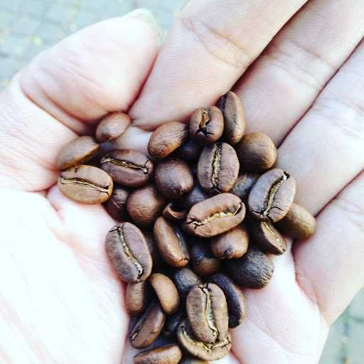 Kangenku Kopi 5