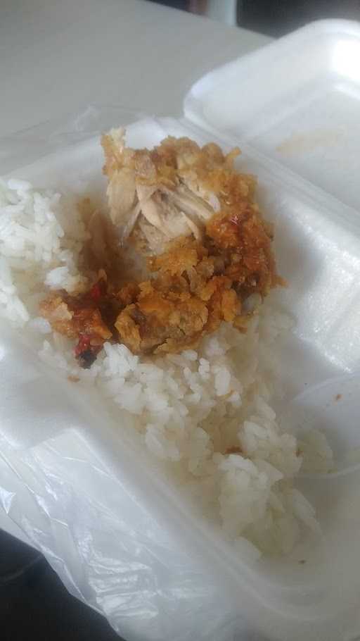 Ayam Kribo 9