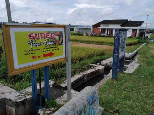 Gudeg Tengah Sawah 9