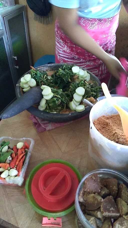 Lotek Gado Gado 2