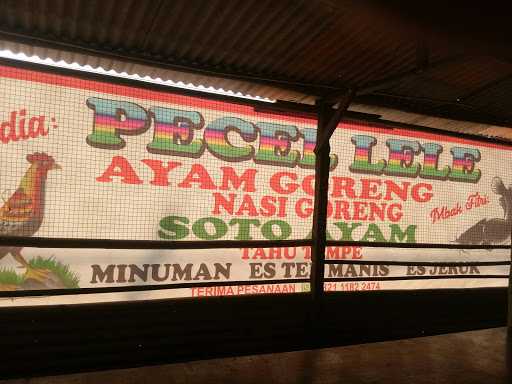 Pecel Lele Ayam Goreng 2