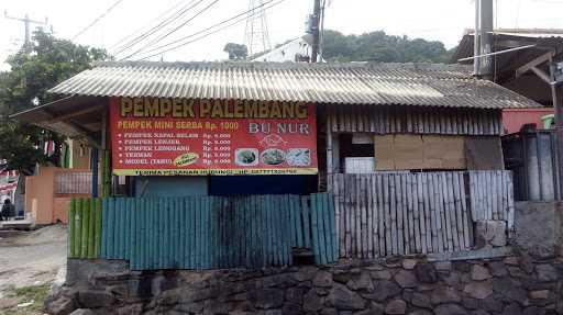 Pempek Palembang Bu Nur 2