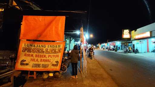 Lesehan Pecel Lele Lumajang 2