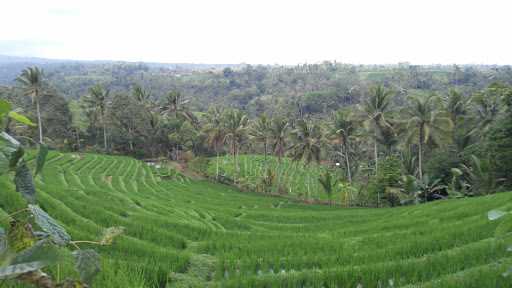 Warung Penganggan 7