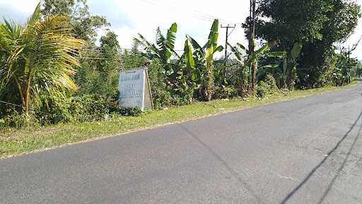 Warung Nasi Babi Guling - Buk Edi 7