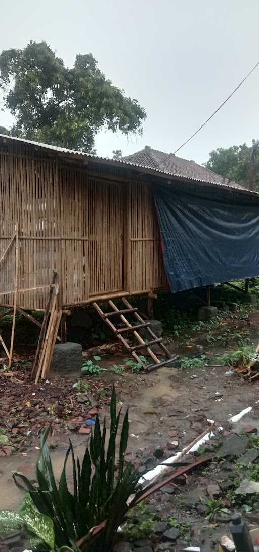 Donat Madu Cihanjuang Cab. Purwadadi 9