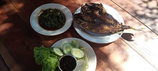 Ikan Bakar Dapur Aunty 10