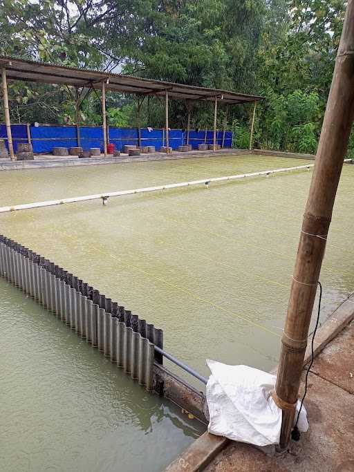 Kolam Pemancingan Bawal Dan Tombro Patria 8