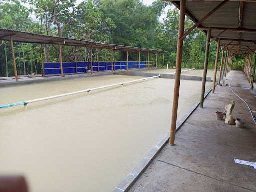 Kolam Pemancingan Bawal Dan Tombro Patria 10