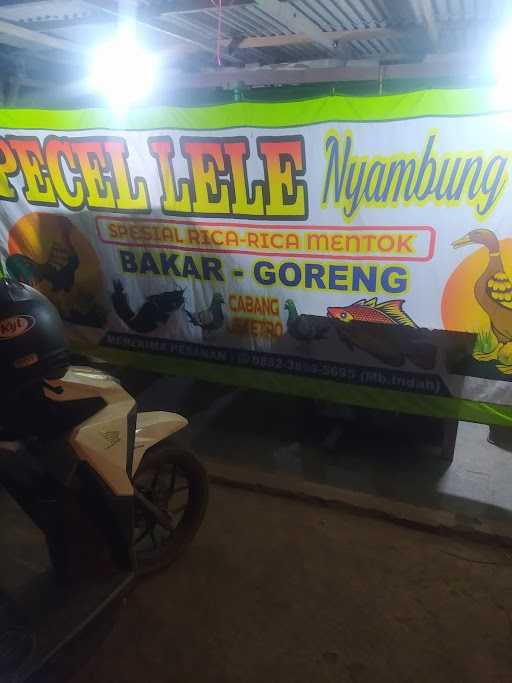 Pecel Lele Nyambung Roso 4