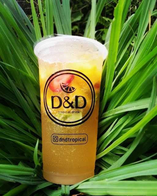 D&D Tropical 4