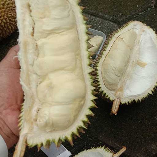 Durian Nyamleng 8