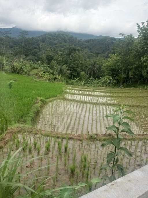 Taman Palatar Peujeuh 10