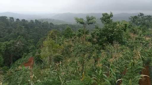 Tempat Wisata Bukit Durian 2