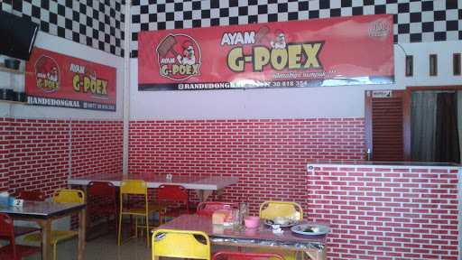 Ayam G-Poex Randudongkal 6