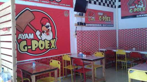 Ayam G-Poex Randudongkal 3