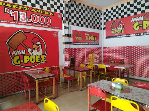 Ayam G-Poex Randudongkal 9