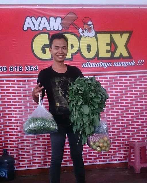 Ayam G-Poex Randudongkal 7