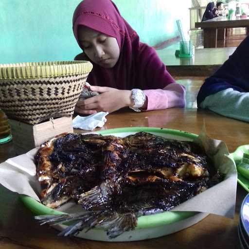 Gubug Ikan Kebanggan Pemalang 4